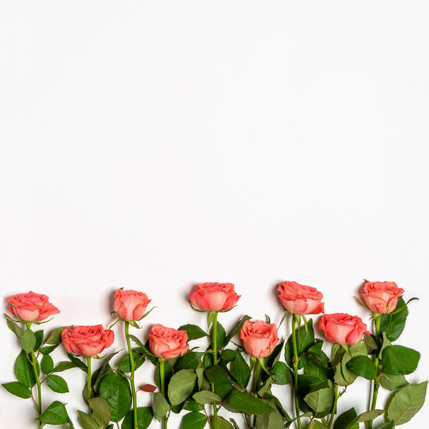 Frame gemaakt van frisse roze rozen op witte achtergrond. Mooie bloemen wenskaart voor Valentijnsdag, vrouwen of moeder 's dag. Mock up, platte lay, bovenaanzicht, kopieerruimte. - Foto, afbeelding