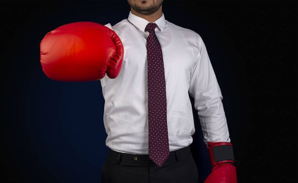 Profesional listo para cualquier desafío con plantilla de banner de guantes de boxeo
. - Foto, imagen