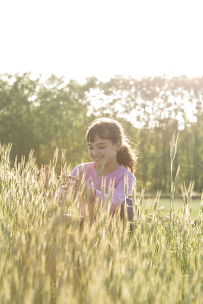 Ruskeahiuksinen tyttö, jolla on vaaleanpunainen pusero spikelets-pellolla aurinko paistaa takana
. - Valokuva, kuva