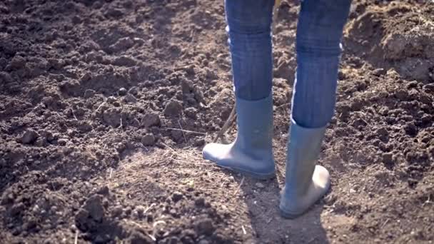 Travailler dans un jardin - Creuser le sol printanier à l'aide d'une fourche à bêcher. Gros plan sur l'excavation du sol printanier à l'aide d'une pelle pour le préparer à la nouvelle saison de semis
. - Séquence, vidéo