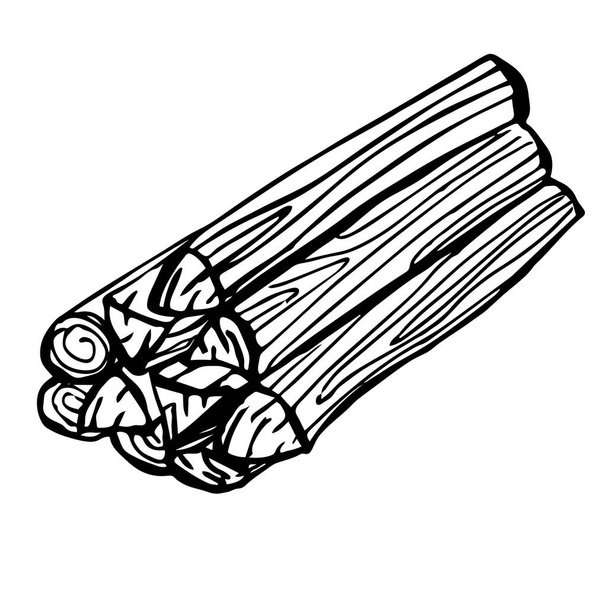 Иллюстрационная стопка дров на белом фоне. Лес, сжигающий дрова для приготовления супа. Элемент дизайна меню, плакат, эмблема, значок, баннер, флаер
. - Вектор,изображение