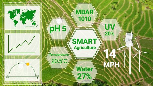 Smart digital agriculture technology by futuristic sensor data collection management by artificial intelligence to control quality of crop growth and harvest. Computer aided plantation grow concept. - Photo, Image