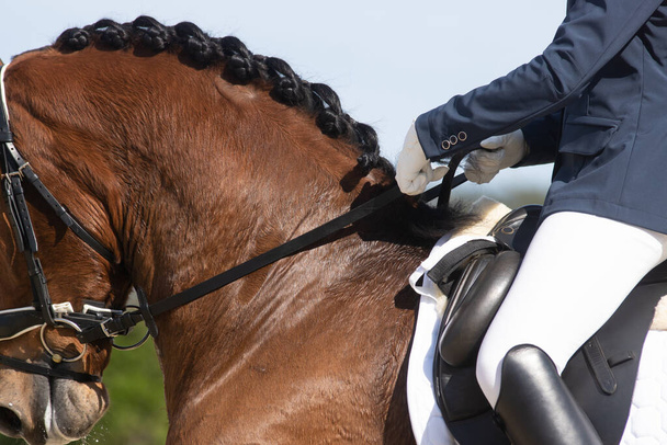 Χέρια ενός αναβάτη που κρατάει δύο χαλινάρια δίπλα στο λαιμό ενός αλόγου σε άσκηση - Φωτογραφία, εικόνα