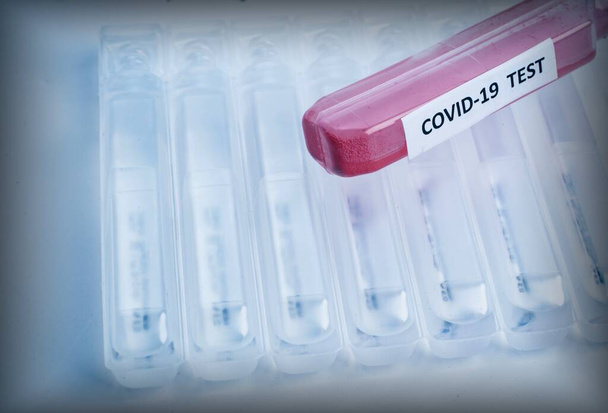 Zkušební zkumavka označená COVID-19 s krevním testem na pozadí čistých lékařských zkumavek. Problém šíření koronavirové infekce - Fotografie, Obrázek