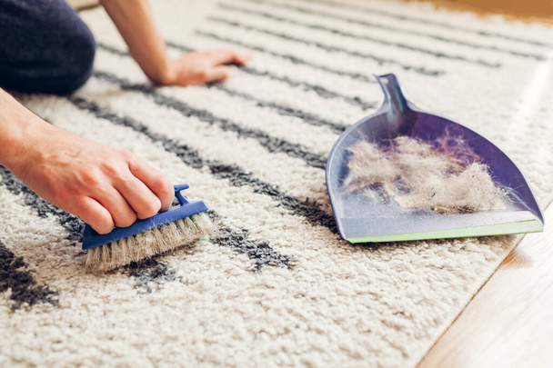 Teppich zu Hause mit Pinsel von Katzenhaaren reinigen. Mann reinigt schmutzigen Teppich und steckt Tierfell in Schaufel Hauswirtschaft. Allergien. Nahaufnahme - Foto, Bild