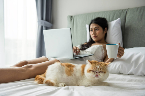 Beyaz pijamalı güzel seksi Asyalı kadın laptopunu kullanır, kahve içerken egzotik sarı kedi modern yatak odasında yatağında oturur. Hafta sonları rahatla ve online alışveriş yap. - Fotoğraf, Görsel