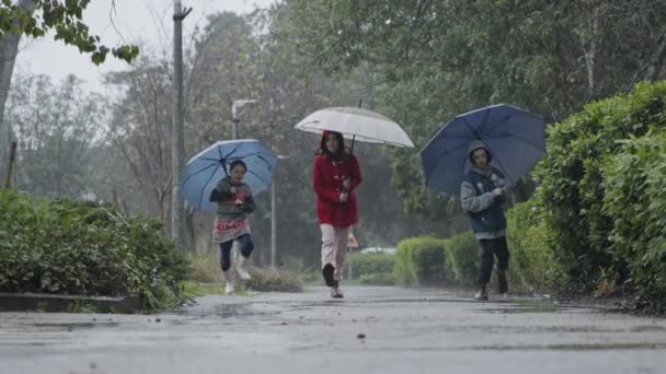 Kolme lasta juoksemassa onnellisina sateessa ja lätäköissä sateenvarjojen kanssa.
 - Materiaali, video