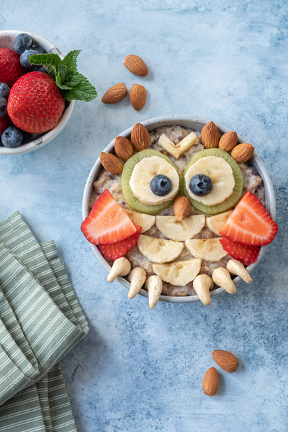 Owl shaped breakfast healthy oatmeal porridge for kids - Photo, Image