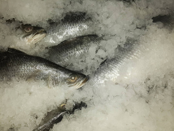 Čerstvé obří mořské ryby na ledu na prodej na trhu s kopírovacím prostorem - Fotografie, Obrázek