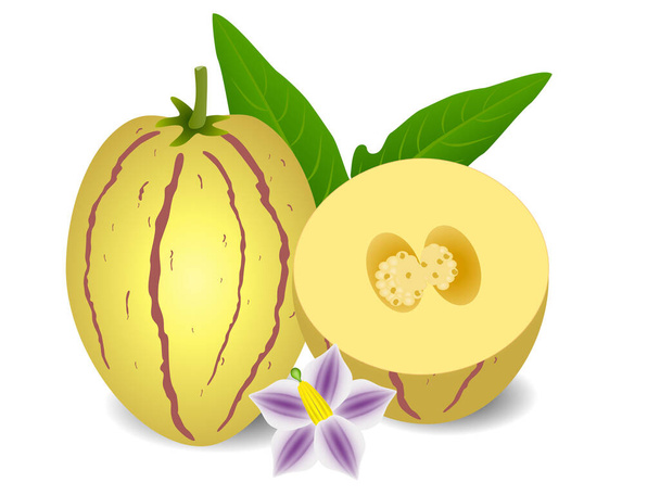 Ganze Pepino-Melonen und die Hälfte mit einer Blume auf weißem Hintergrund. - Vektor, Bild