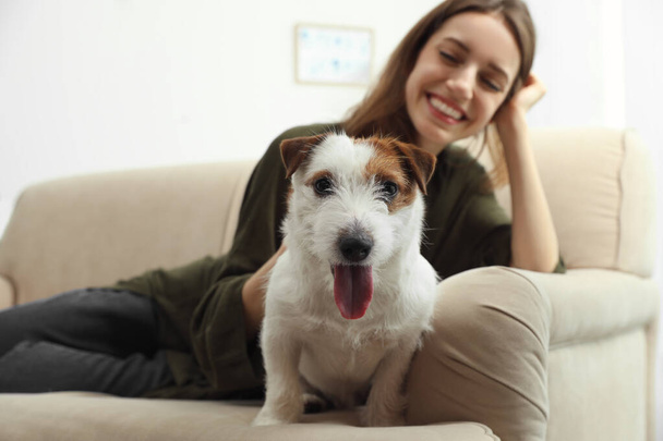 Young woman with her cute Jack Russell Terrier on sofa at home. Lovely pet - Foto, Imagem