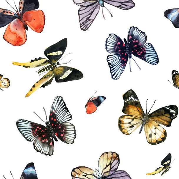Seamless pattern with butterflies on a white background. Watercolor illustration. Watercolor butterflies. - Φωτογραφία, εικόνα