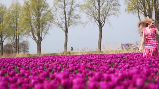 Meisje met boeket kleurrijke tulpen bloemen en staan op paarse tulp velden.  - Video