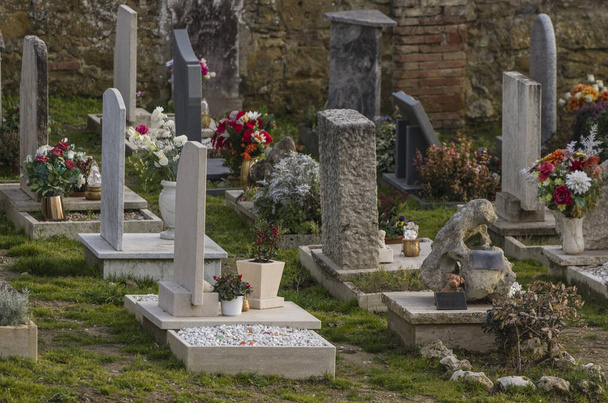 Lápidas en un cementerio público
 - Foto, Imagen