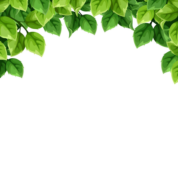 Vector background with green leaves. - Vektori, kuva