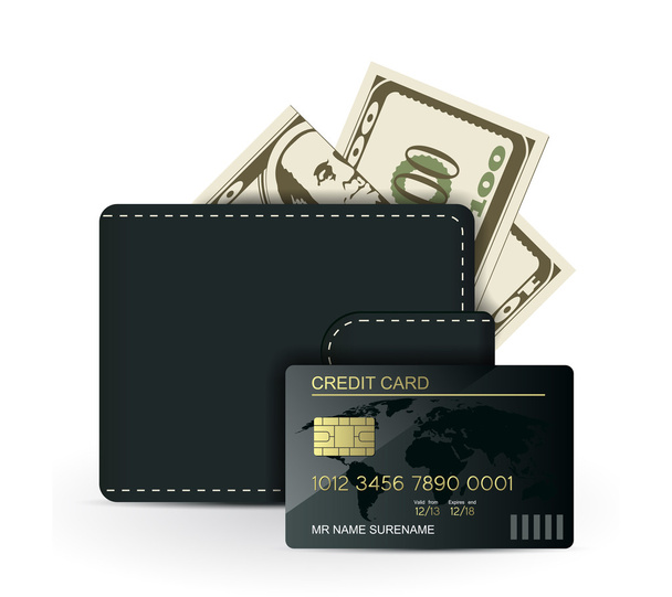 Geldbörsen aus Leder mit Geld und Kreditkarte - Vektor, Bild