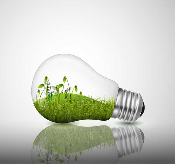 Light bulb with grass inside - Vector, Image