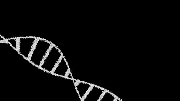 DNA Molecule Helix Wetenschap Abstracte achtergrond - Video