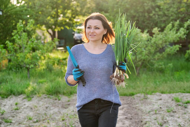 Mature woman farmer walking through the garden with green fresh chive onion. Natural organic healthy food. Outdoor spring, vegetable garden, golden hour - Valokuva, kuva