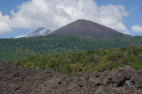Champs de lave solidifiée, forêt et volcan Llaima couverts de nuages
. - Photo, image