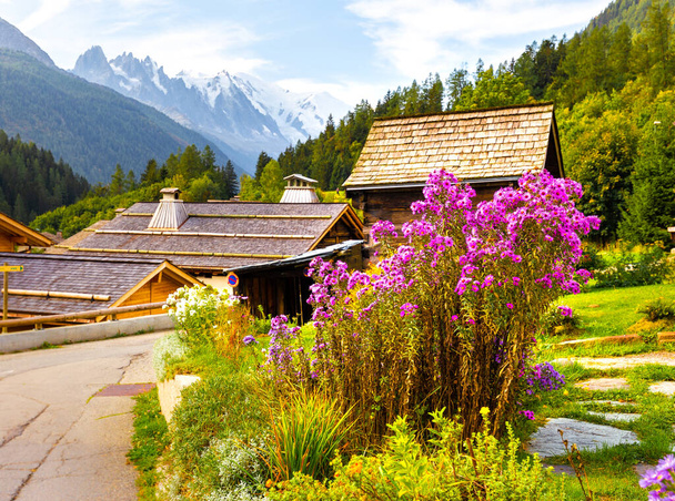 Fleurs florissantes buisson, voyage Chamonix emplacement célèbre, France Voyage Alpes, Europe randonnée tourisme
. - Photo, image