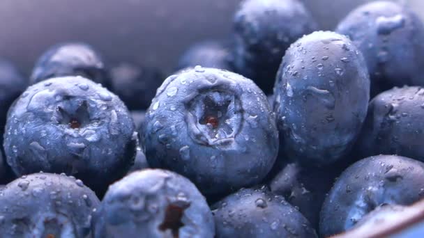 Zamknij niebieskie jagody w misce - Materiał filmowy, wideo