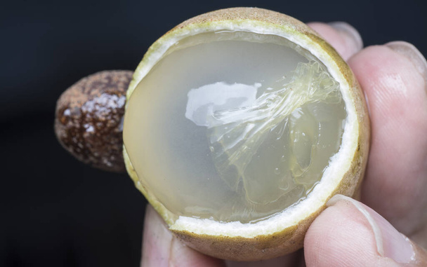 zralé hnědé sladké longan ovoce - Fotografie, Obrázek