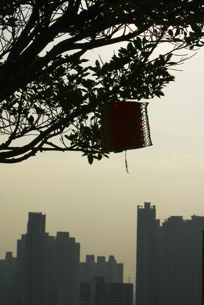 15 сентября 2008 года в районе Шам Шуй По Гонконг
  - Фото, изображение