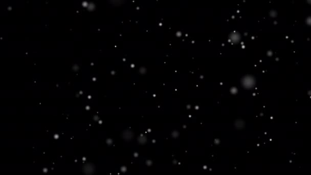 Zimowy Śnieg spada z nieba. Śnieg odizolowane czarne tło dla ruchu grafiki komponowanie elementu. Losowe turbulencje śnieżnej wielkości w burzy powietrznej. Odizolowane płatki śniegu. Nagranie 4k. Płynna pętla - Materiał filmowy, wideo