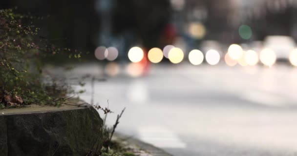 夜の光フランクフルトの交通街の人々の足緑の街を歩く - 映像、動画