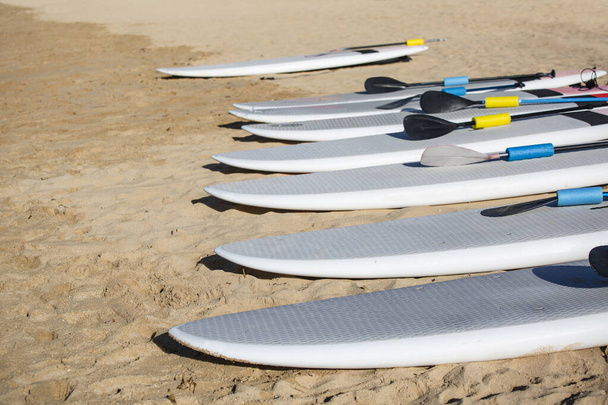 Fila de tablas de pádel de pie descansando en la playa listo para alquilar. SUPs todos en una fila listos para el océano
 - Foto, imagen