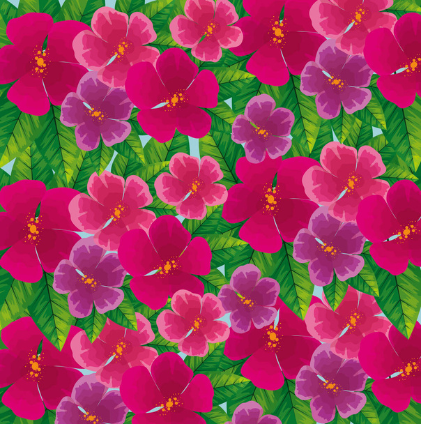 background of cute flowers fuchsia color with leafs - Vektor, Bild