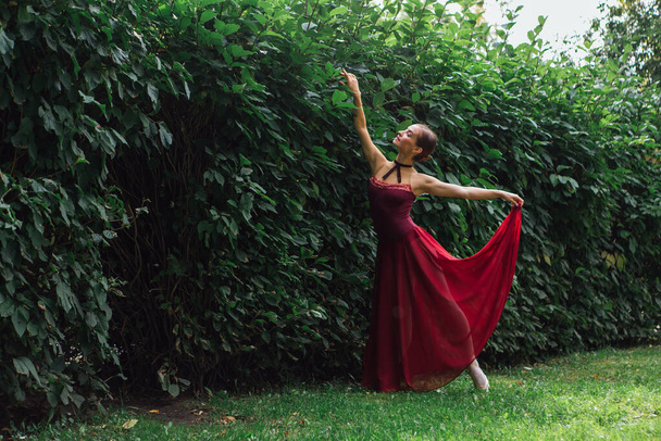Bailarina de mujer en vestido de ballet rojo bailando en zapatos puntiagudos en el parque de otoño junto a la pared de arbustos. Bailarina de pie en hermosa pose de ballet
 - Foto, Imagen