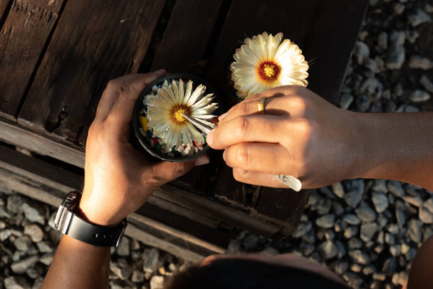 Kaktuskasvien pölyttämisen auttaminen jalostusta varten
 - Valokuva, kuva
