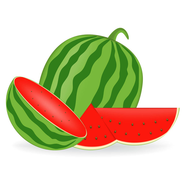 Wassermelonensaft-Vektor realistische Illustration - Vektor, Bild