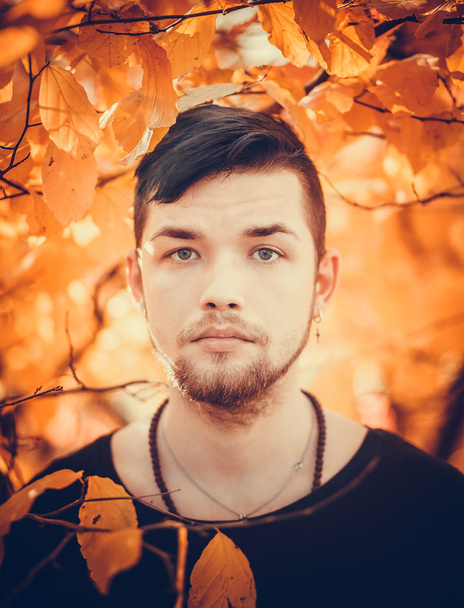 Portrait of a young handsome man in the autumn park - Foto, immagini
