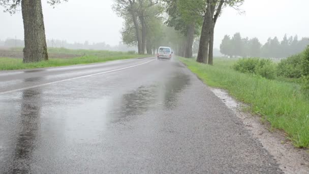Regen Auto Asphaltstraße - Filmmaterial, Video