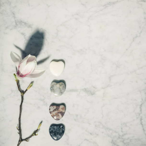 Flat lay composition with beautiful spring magnolia flowers and grey stones on white marble background. Relaxation and zen like concept. - Foto, immagini