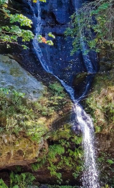 Les chutes du ruisseau Steep coulent dans les montagnes du comté de Skamania à travers les rochers et la végétation de l'État de Washington
 - Photo, image