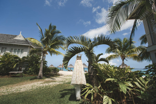 wedding dress on a palm tree against the blue sky. - Fotografie, Obrázek