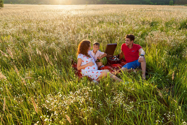 A happy family spends time together in nature. They are sitting on the blanket in the field on a summer sunny day.Pregnant family photo shoot in nature - Foto, imagen