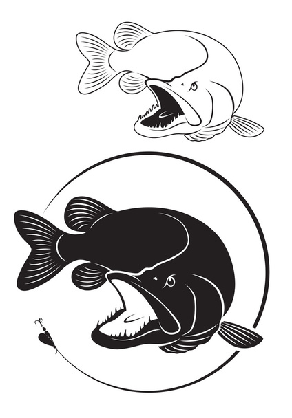 na rysunku pokazano ryba szczupak - Wektor, obraz