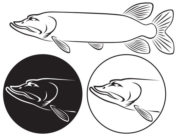 Pickerel fish silhouette - Vector, Image