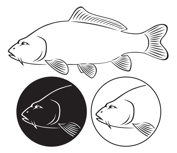 obrázek ukazuje ryb kapra - Διάνυσμα, εικόνα