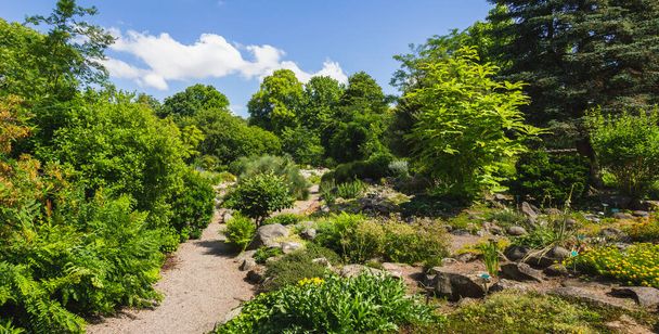 Bujná zelená krajina ve veřejné botanické zahradě v Lundu, Švédsko - Fotografie, Obrázek