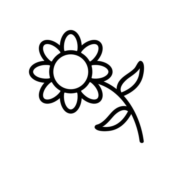 美しい菊のアイコンベクトル。美しい菊のサイン。孤立した輪郭記号図 - ベクター画像