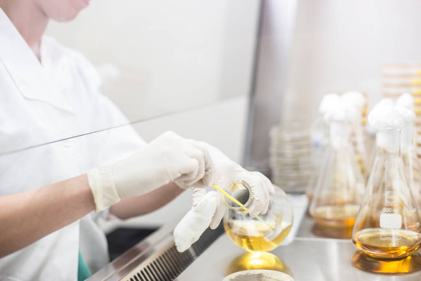 A lamináris áramlásban lévő baktériumokkal dolgozó női tudós a corona vírus vakcina fejlesztő laboratóriumában. - Fotó, kép