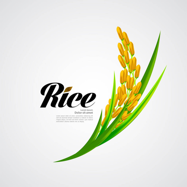 Rice premium vetor de conceito de design de grande qualidade
. - Vetor, Imagem