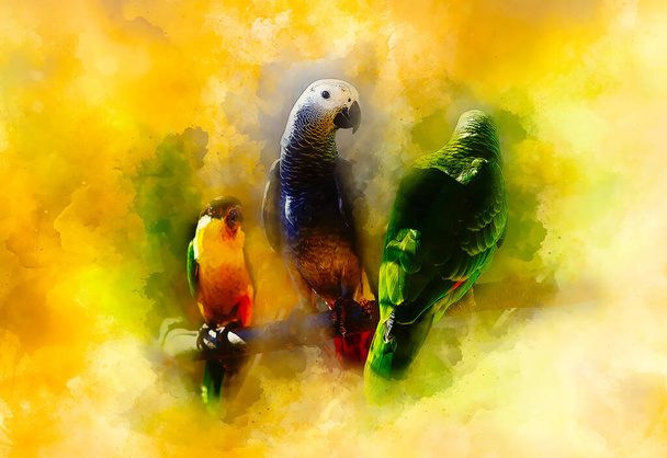 Colored parrots and softly blurred watercolor background - Photo, Image