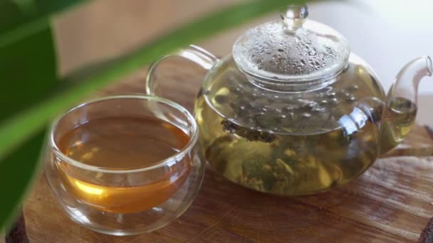 Green tea is brewed in a glass teapot. Timelapse - Materiał filmowy, wideo
